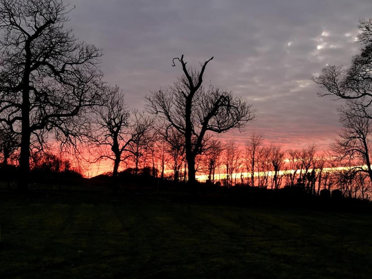 Romantic Rural Break In Countryside Castle Grounds Private Retreat Wizards Rest Bishops Tawton Kültér fotó