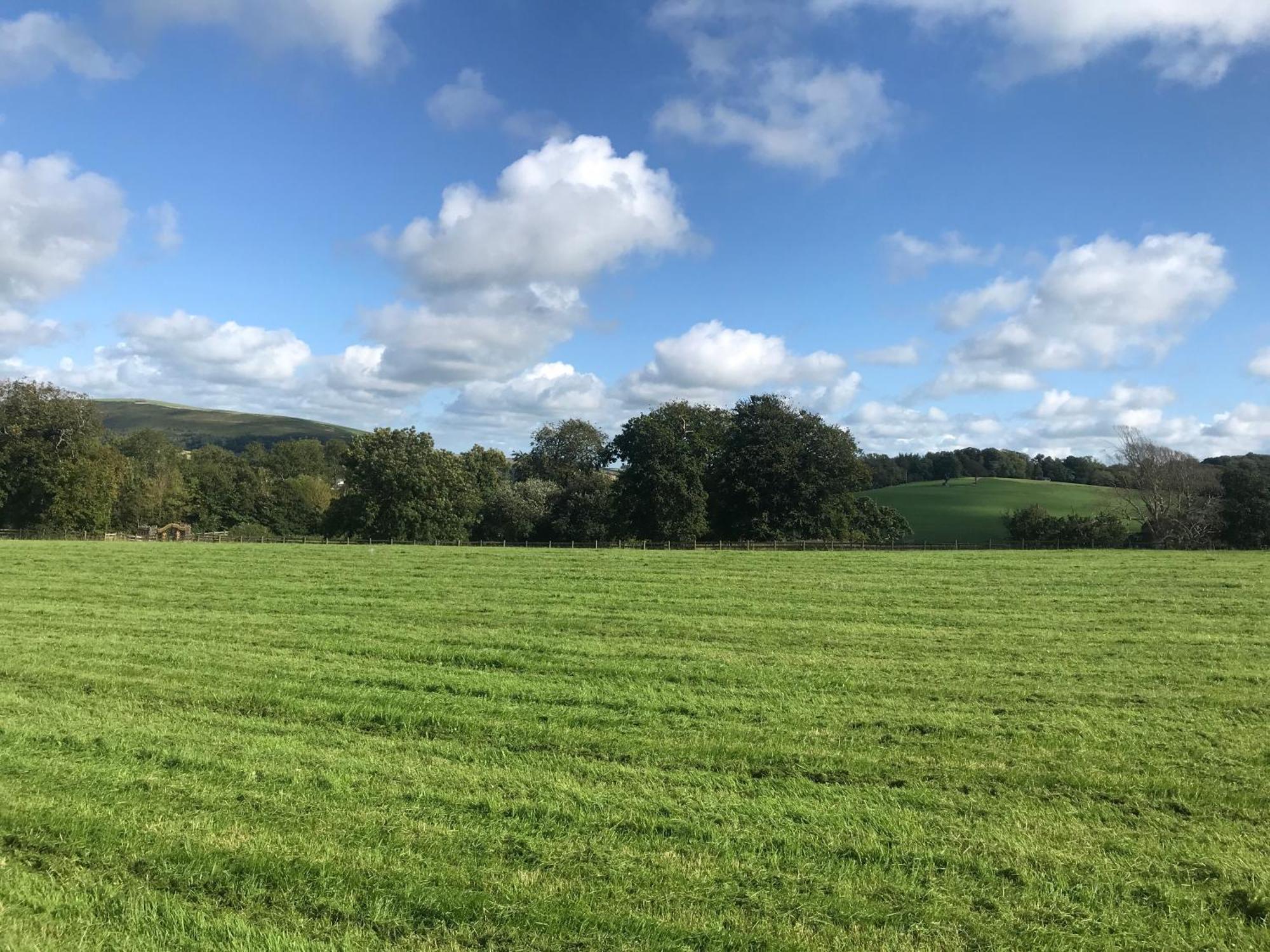 Romantic Rural Break In Countryside Castle Grounds Private Retreat Wizards Rest Bishops Tawton Kültér fotó